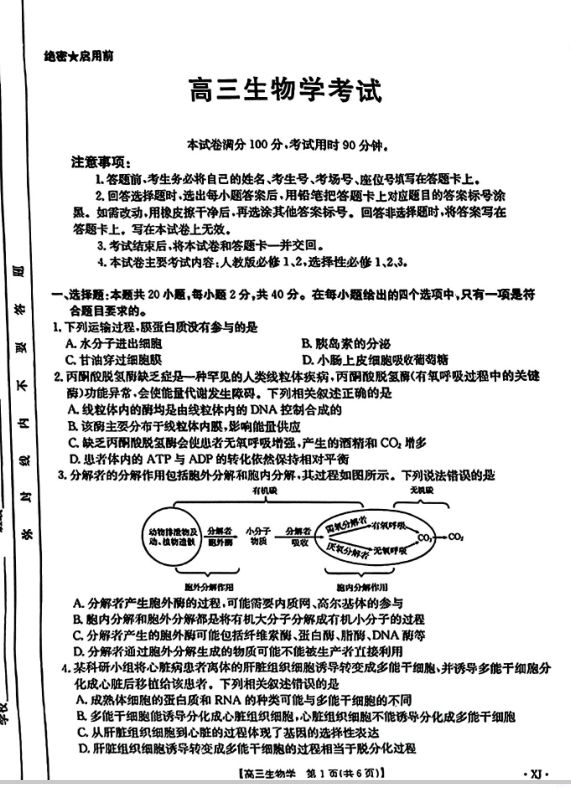 生物-新疆金太阳2024-2025学年高三上学期9月第一次质量检测试卷封面