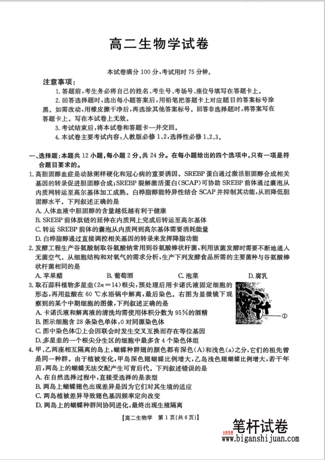 湖南省衡阳市2024-2025学年高二下学期7月期末生物试题考试含答案封面