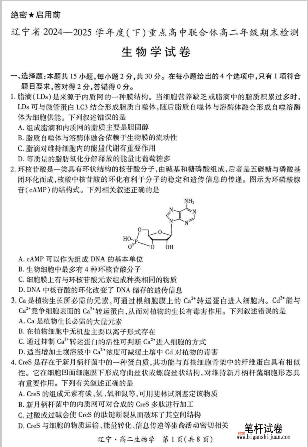 辽宁沈阳重点高中联合体2024-2025学年高二下学期期末生物试题含答案封面
