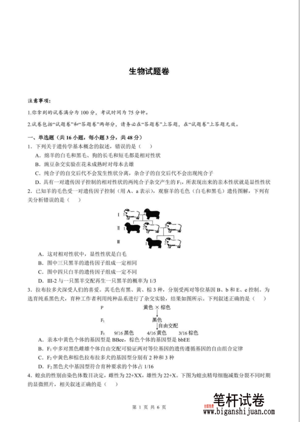 安徽省智学联考2024-2025学年高一下学期7月期末生物试题考试含答案封面