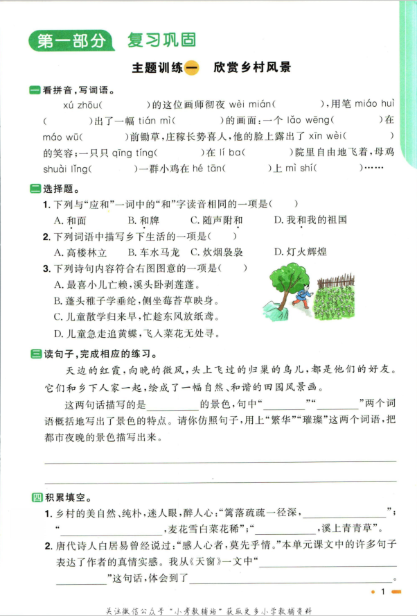 阳光同学暑假衔接四升五语文人教版含答案封面