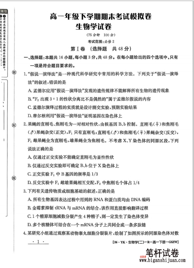 甘肃省白银市实验中学2024-2025学年高一下学期期末生物试题考试含答案