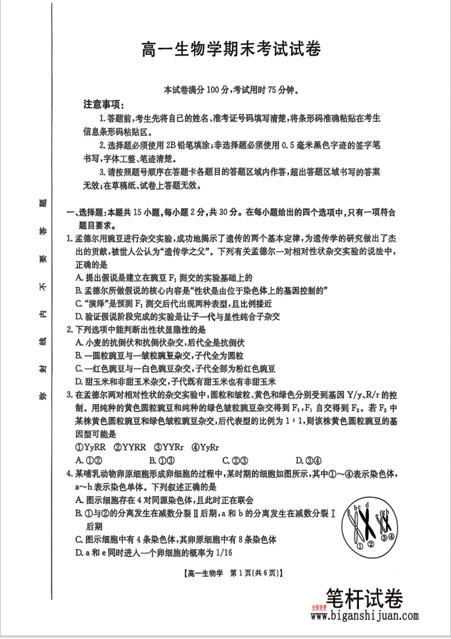 吉林省金太阳2024-2025学年高一下学期期末考试生物试题含答案