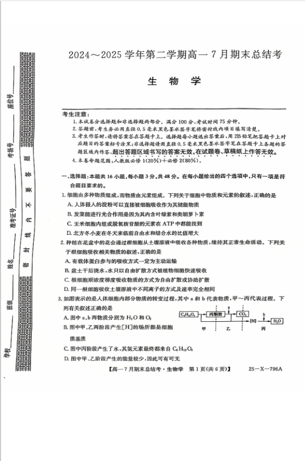 山西省三晋卓越联盟2024-2025学年高一下学期7月期末总结考生物试题含答案