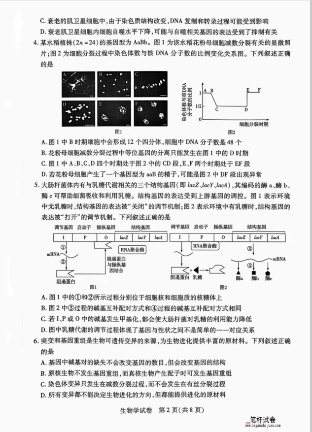 安徽省滁州市2024-2025学年高二下学期期末教学质量监测生物试题含答案(图2)