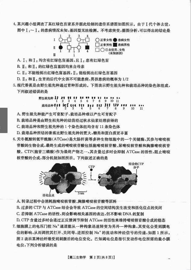 生物-四川省金太阳2025届高三上学期12月联考卷(图2)