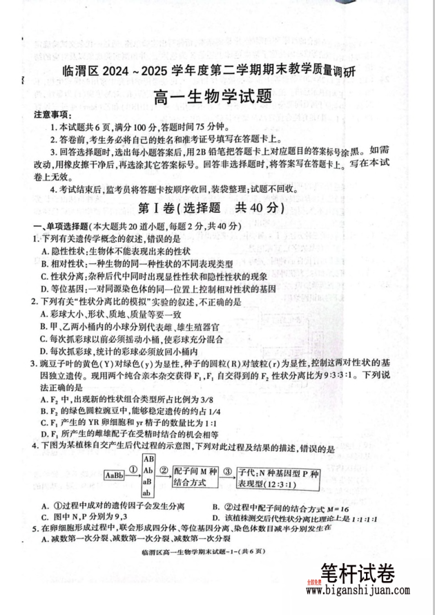 陕西省渭南市临渭区2024-2025学年高一下学期期末教学质量调研生物试题含答案